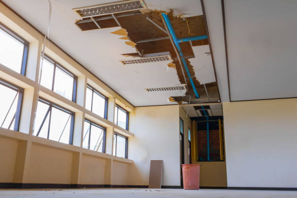 Best Local water damage restoration  in Forestville, MD