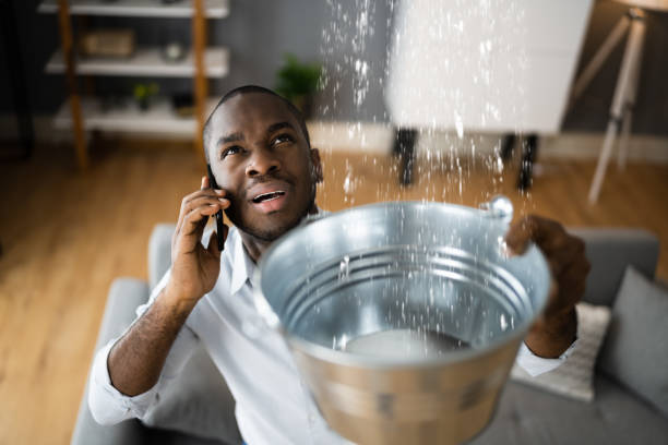 Best Basement water damage restoration  in Forestville, MD