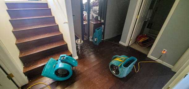 Best Water damage restoration specialists  in Forestville, MD