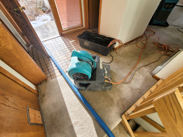 Trusted Forestville, MD Water damage restoration Experts