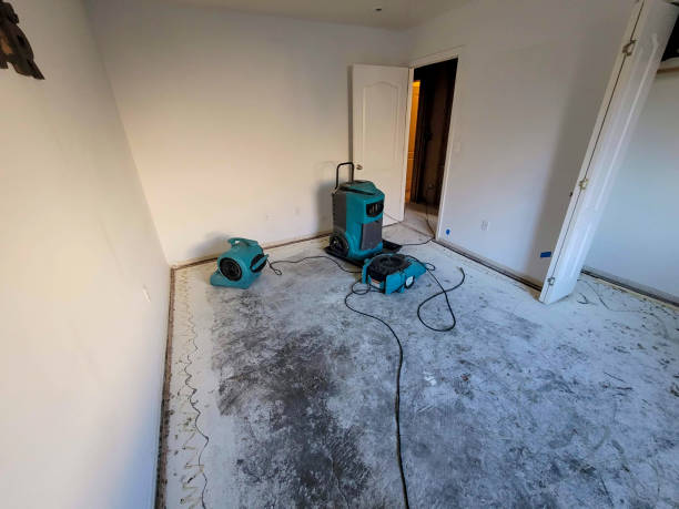 Trusted Forestville, MD Water damage restoration Experts