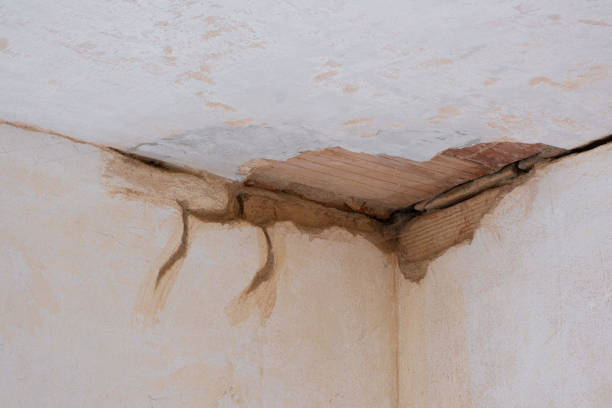 Best Water damage restoration company  in Forestville, MD