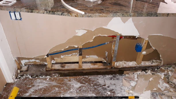 Best Water damage cleanup near me  in Forestville, MD