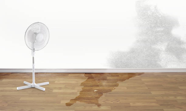 Local water damage restoration in Forestville, MD