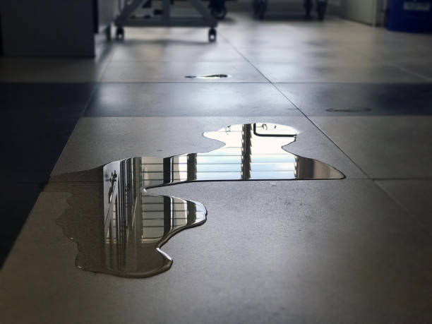 Best 24/7 water damage repair  in Forestville, MD