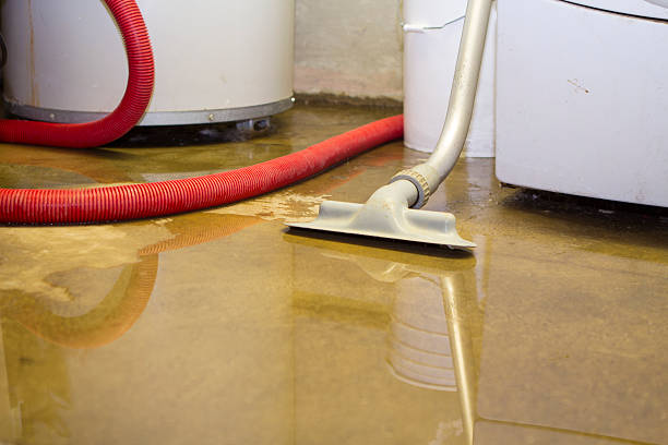 Best Water damage restoration services  in Forestville, MD