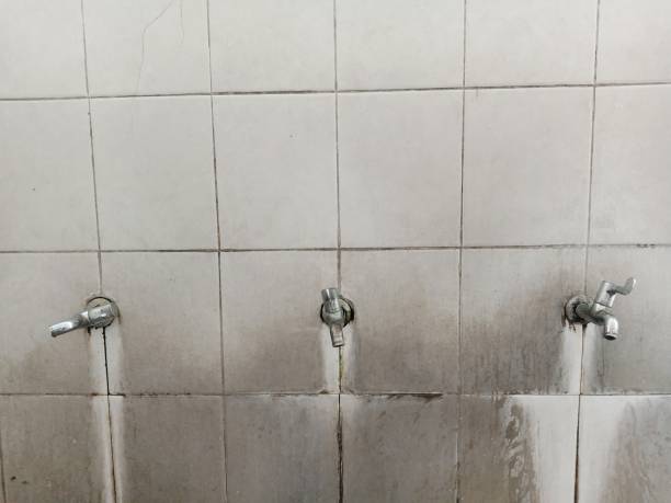 Best Water damage cleanup near me  in Forestville, MD