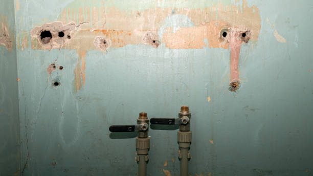 Best Water damage restoration near me  in Forestville, MD
