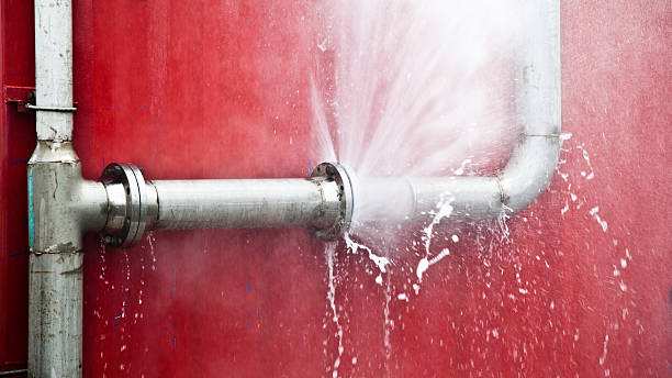 Best Water damage mitigation services  in Forestville, MD